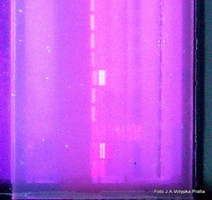 PCR-gel