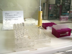 PCR-potřeby