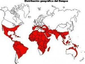 dengue-3